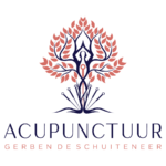 Acupunctuur Gerben De Schuiteneer | Acupunctuur Beveren - Acupunctuur Gerben De Schuiteneer